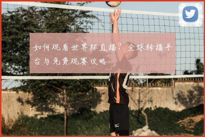 如何观看世界杯直播？全球转播平台与免费观赛攻略